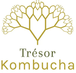 
                  
                    KOMBUCHA  by TRESOR
                  
                